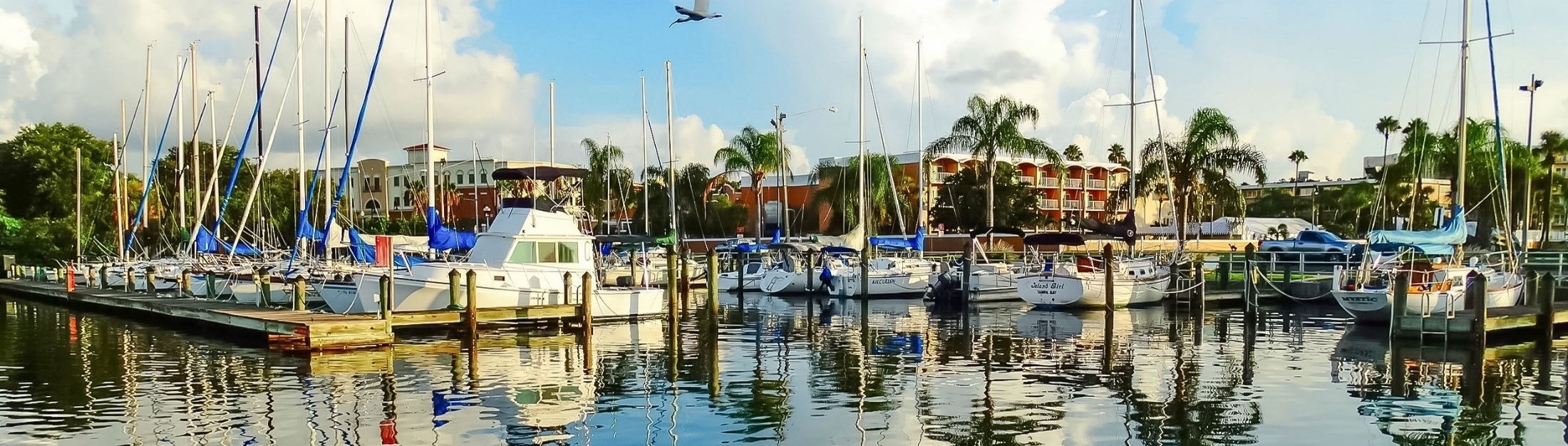 Harbor of boats